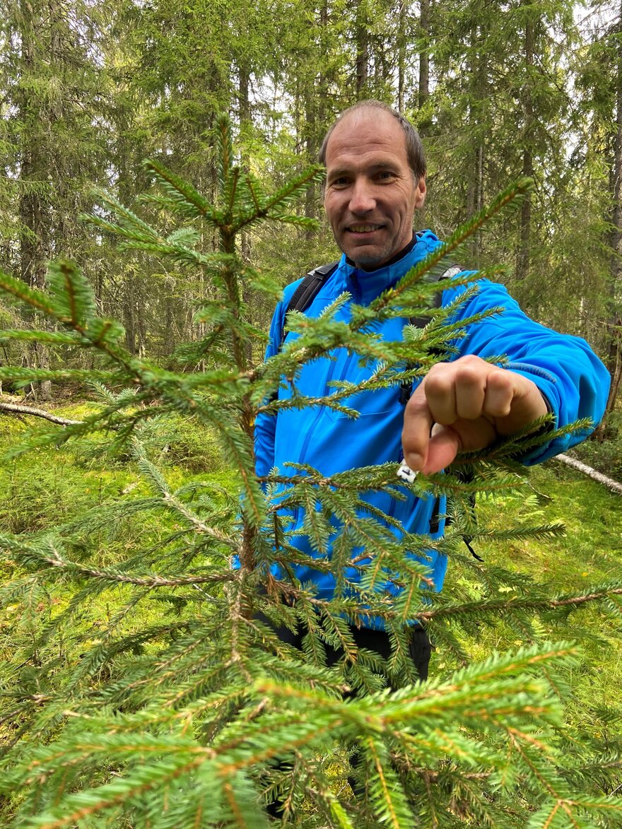 Mann med blå jakke i skogen