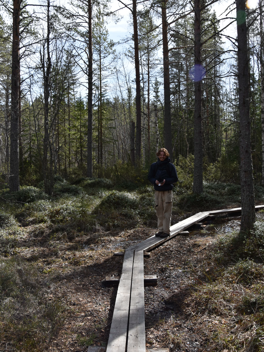 Tysjöarna Bird Sanctuary field excursion, walking path, clear cutting and budding nature paths