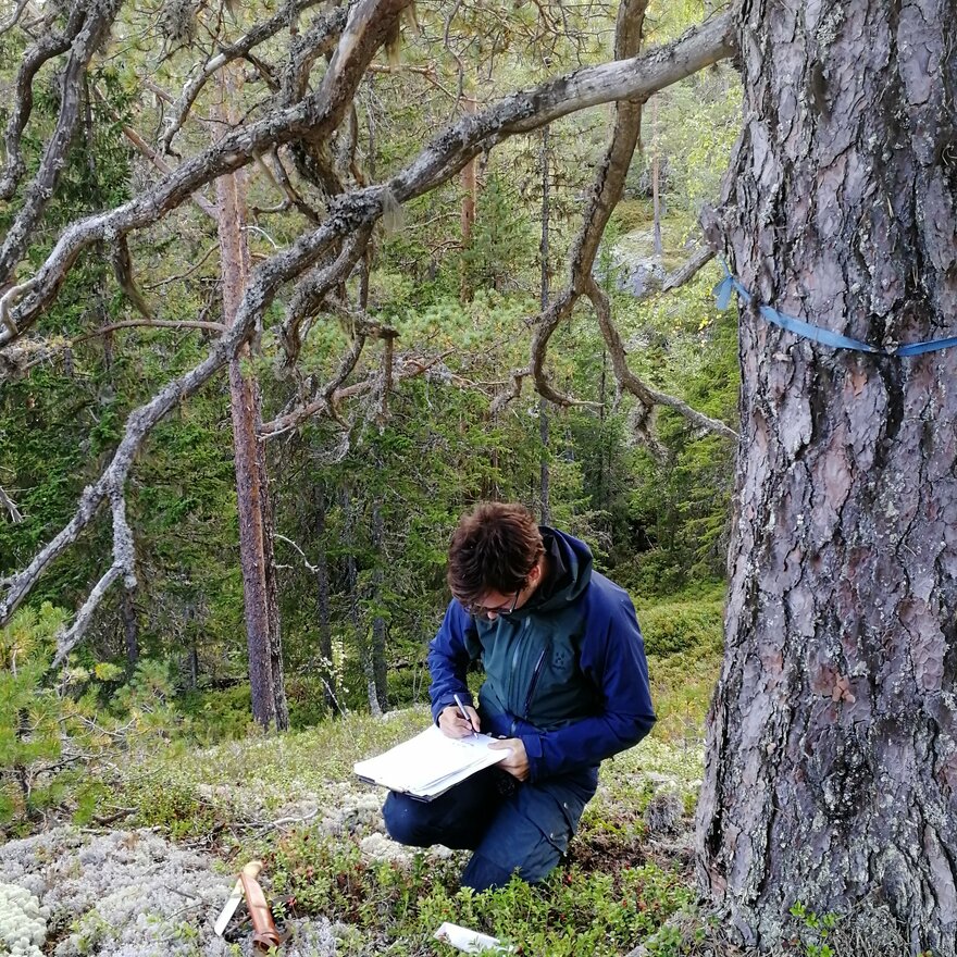 Mann med notatblokk i skog. 